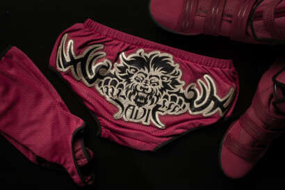 Gallery item